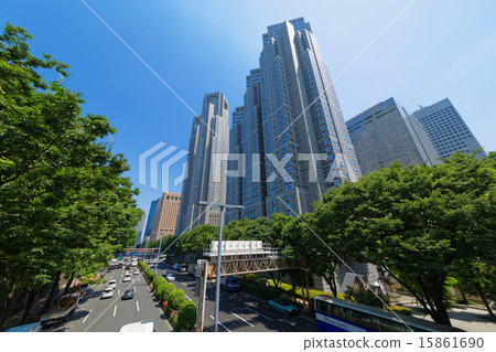 Fresh green in young leaves of Tokyo Metropolitan Government Office and Shinjuku Central Park 15861690