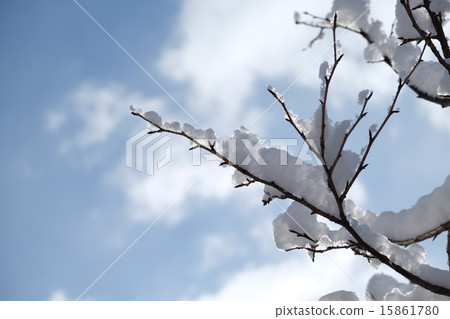 Winter sky 15861780