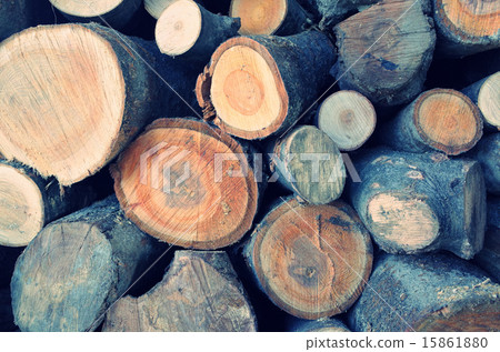 Many logs Many logs 15861880