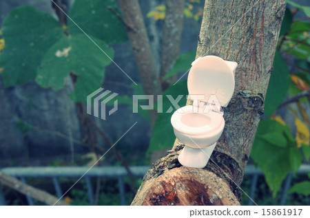 Western-style toilet in nature 15861917