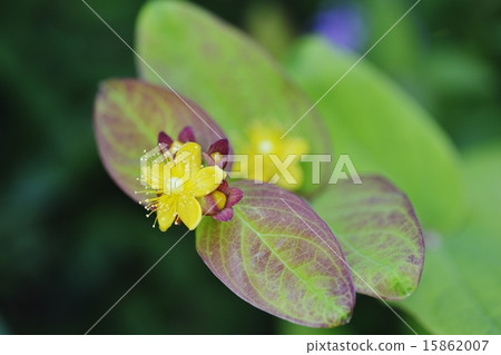 Hiperam Hiperam 15862007