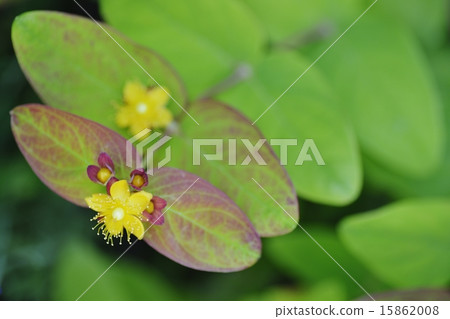 Hiperam Hiperam 15862008