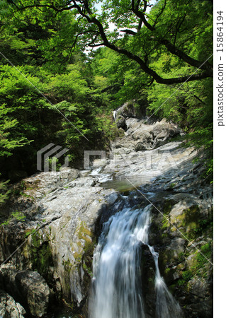 島根縣 - 森村谷 島根縣 - 森村谷 15864194