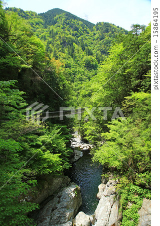 島根縣 - 森村谷 島根縣 - 森村谷 15864195