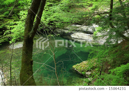 Shimane-mimori Valley 15864231