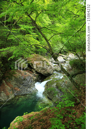 Shimane-mimori Valley 15864232