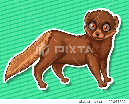 Cute Mynx Cute Mynx 15865832