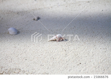 馬爾代夫 馬爾代夫 15866676