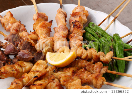 各種各樣的烤雞肉串 各種各樣的烤雞肉串 15866832