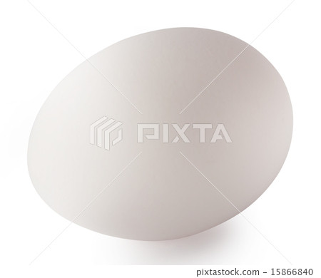 White oval egg 15866840