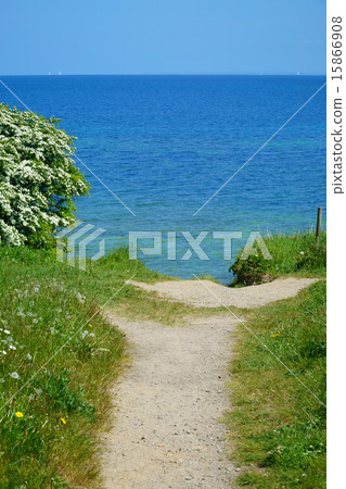 Small path to the coast 15866908