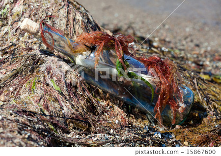Message in a bottle on the beach Message in a bottle on the beach 15867600