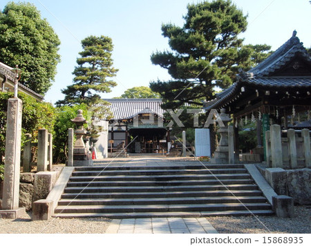 Gokomiya Gokomiya 15868935