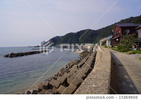 Sasagawa Flow 15869608