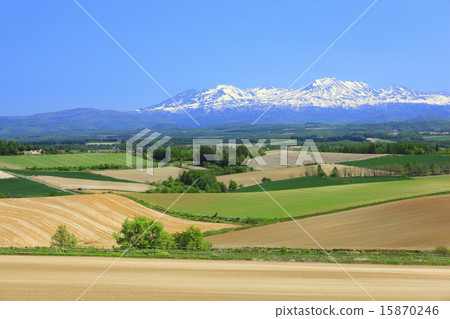 Hill foothills in Okayama and Kamifurano-cho Hokkaido 15870246