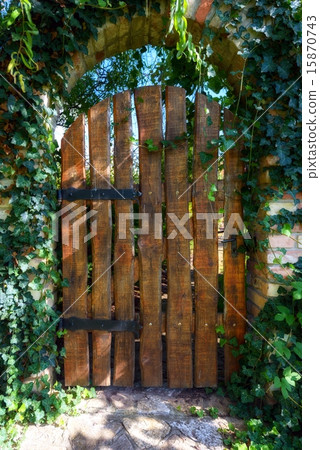 Old wooden door 15870743