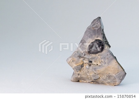 Trilobite fossil 15870854