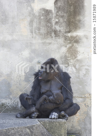 Parent and child Parent and child 15871989