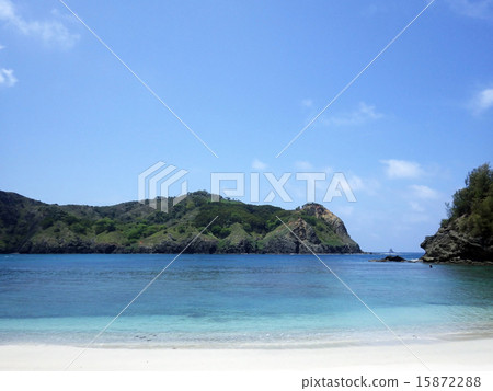 合作海岸（Chichijima） 15872288