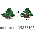 修剪 15872407