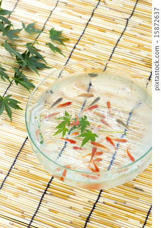 Goldfish   15872637