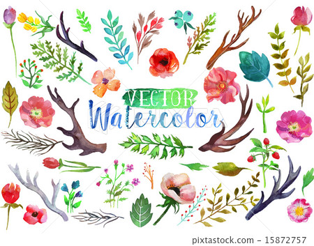 Vector watercolor aquarelle flowers and leaves. 15872757