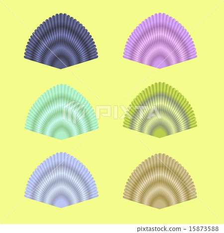 Seashell Collection 15873588