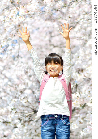 Cherry blossoms and elementary school girls Cherry blossoms and elementary school girls 15874064