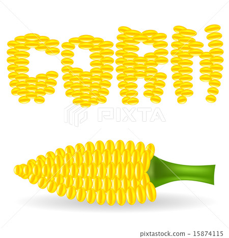 Yellow Cob Corn Yellow Cob Corn 15874115