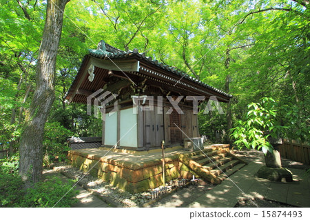 新開寺的新鮮綠色開口 15874493