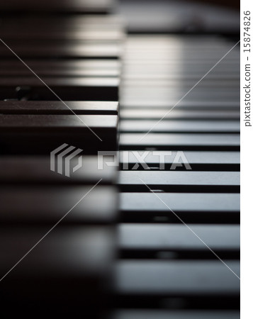 xylophone 15874826