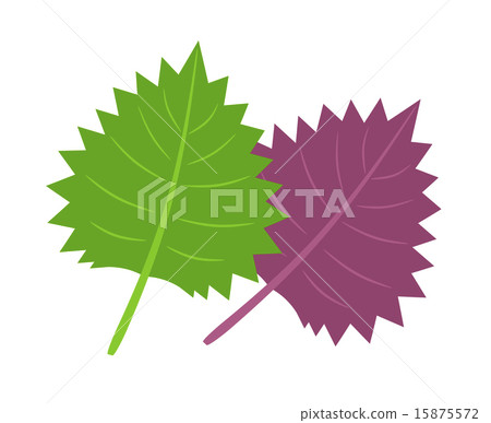 Blue sky and red rose Blue sky and red rose 15875572