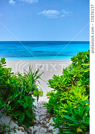 宮古島海灘入口 15876137