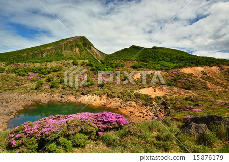 在Ebino Kogen（Kaku Kitayama）開花的霧島山山Miyama霧島和山韓山 15876179