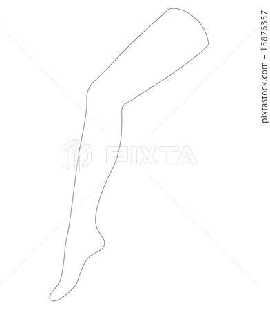 Women _ Legs _ Template - Stock Illustration [15876357] - PIXTA