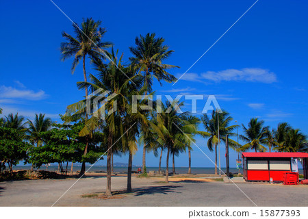 沿海街道 沿海街道 15877393