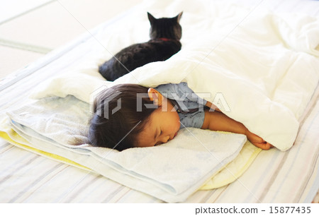 貓接近一個睡著的孩子 貓接近一個睡著的孩子 15877435