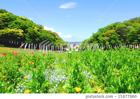 Early summer landscape Early summer landscape 15877860