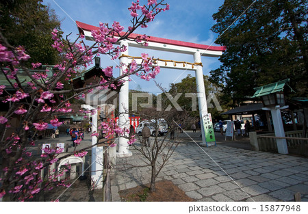 Setsubun in Kamakura Palace 15877948