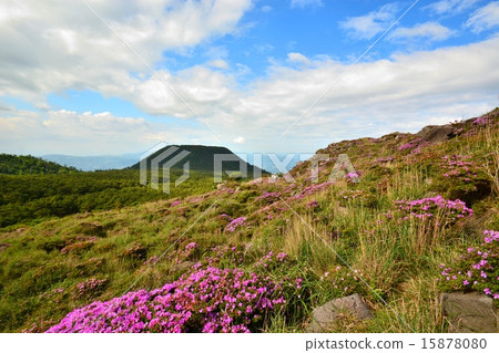 在Ebino高地和山的Iwane山盛開的霧島山脈Miyama Kirishima。 15878080