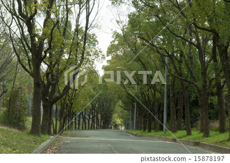 Hanafu Memorial Park Tsurumi-ku Green path 15878197