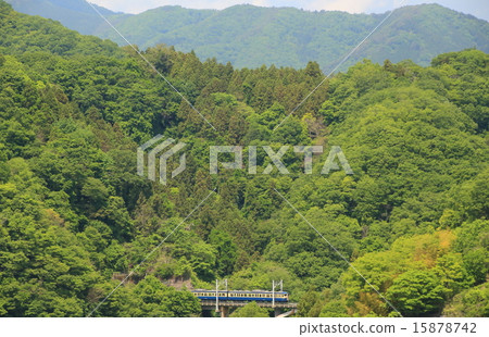 新鮮的綠色Shijitsu鐵橋和115系列 新鮮的綠色Shijitsu鐵橋和115系列 15878742