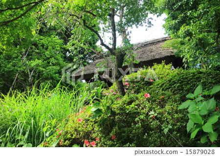 寺廟門的新鮮的綠色寺廟 15879028