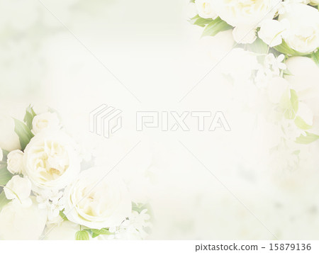 Natural background - rose 15879136