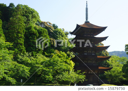 Fresh green of early summer and five-storied pagoda of Rurikoji Temple 15879730