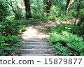 Stairway of mountain path 15879877