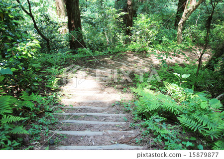 Stairway of mountain path 15879877