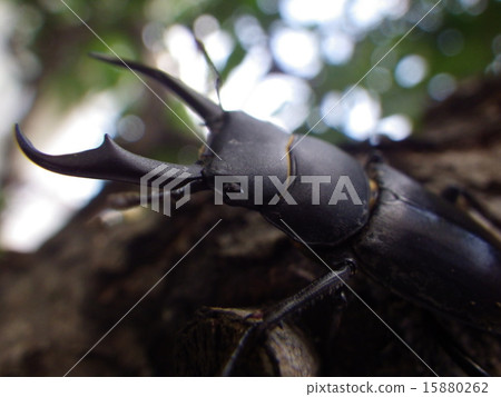 國和 國和 15880262