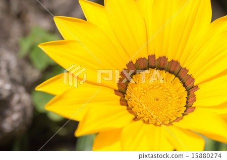 Kazania Kazania 15880274