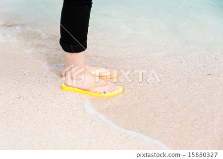 一個海灘 15880327